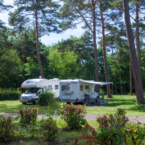 Oostappen park Boschbeek - Camping Roerdalen - Afbeelding N°3