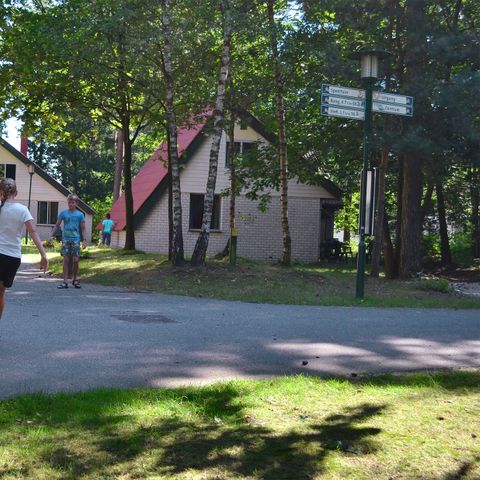 Oostappen park Boschbeek - Camping Roerdalen - Afbeelding N°2