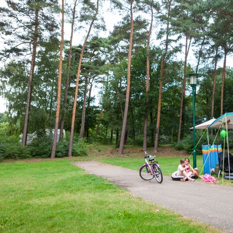 Oostappen park Boschbeek - Camping Roerdalen - Afbeelding N°5