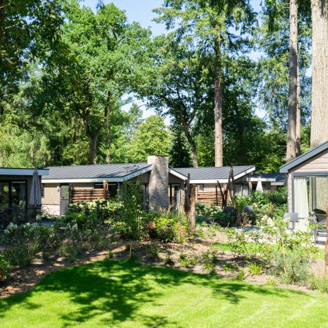 EuroParcs Utrechtse Heuvelrug - Camping Utrechtse Heuvelrug - Afbeelding N°3
