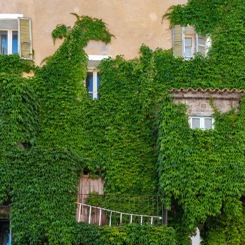 APPARTEMENT 5 personen - 5p Résidence Cala Sultana