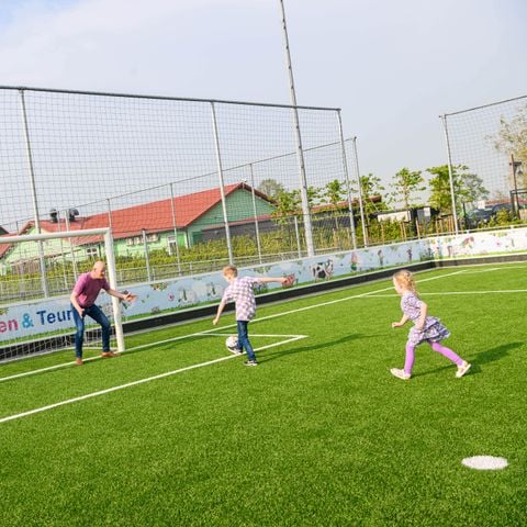 Familie Resort Molenwaard - Camping Molenlanden - Afbeelding N°3