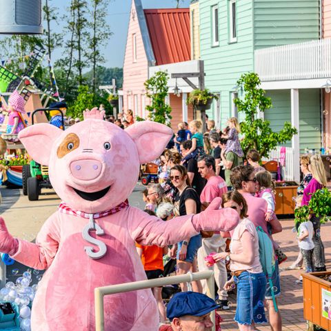 VAKANTIEHUIS 8 personen - Hooimijt