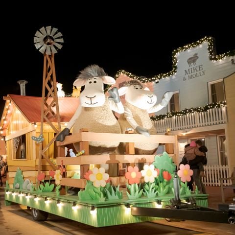 Familie Resort Molenwaard - Camping Molenlanden - Afbeelding N°3