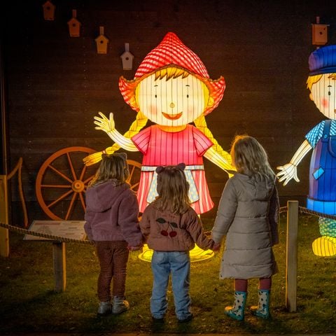 Familie Resort Molenwaard - Camping Molenlanden - Afbeelding N°6