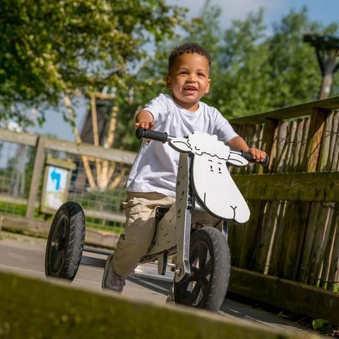Familie Resort Molenwaard - Camping Molenlanden - Afbeelding N°4