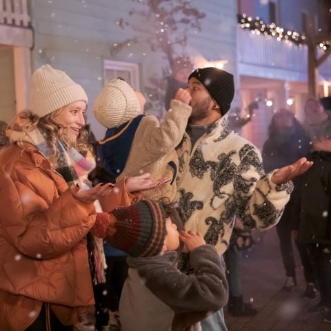 Familie Resort Molenwaard - Camping Molenlanden - Afbeelding N°4