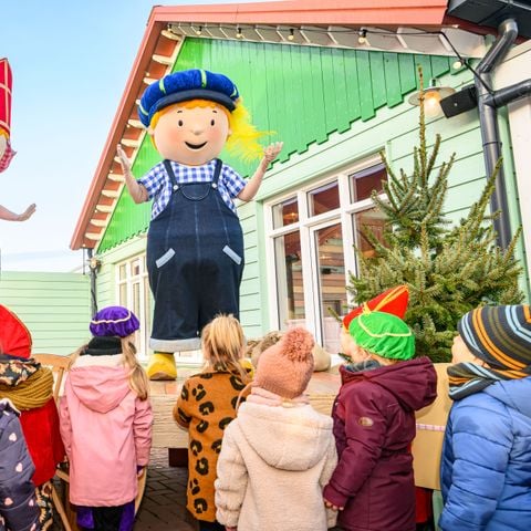 Familie Resort Molenwaard - Molenlanden - Afbeelding N°3