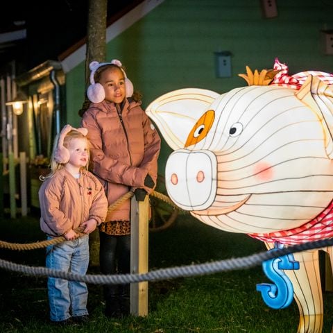 Familie Resort Molenwaard - Camping Molenlanden - Afbeelding N°5