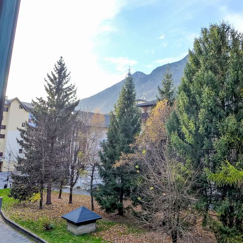 Résidence les Jonquilles Chamonix Sud - Camping Haute-Savoie - Afbeelding N°2