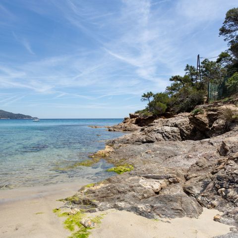 Cap Négre: Domaine de la Pinède - Camping Var - Afbeelding N°6