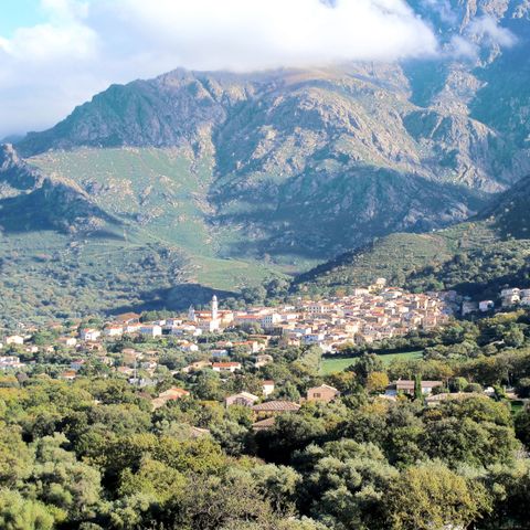 Résidence Le Home - Camping Noord-corsica - Afbeelding N°6