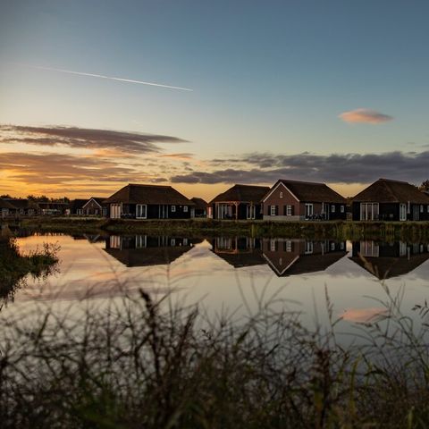 Roompot De Heihorsten - Camping Someren - Afbeelding N°2