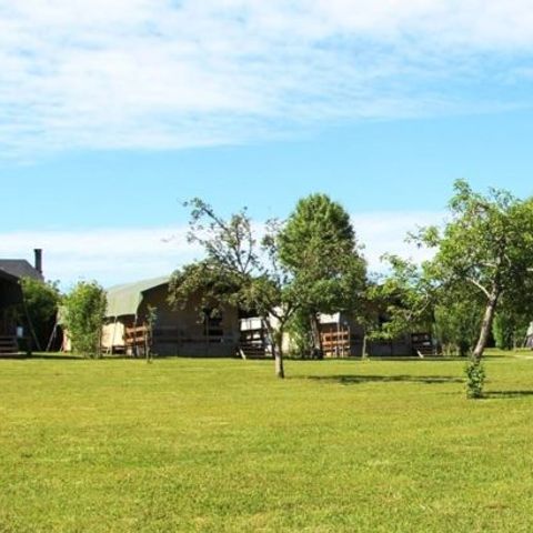 Camping Place de la Famille - Camping Dordogne - Afbeelding N°3