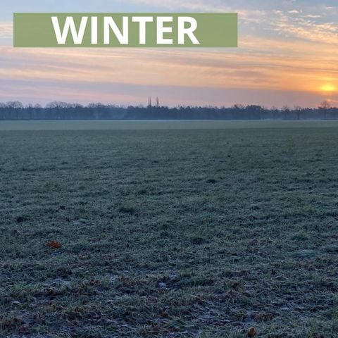 Bungalow 4 personen - WINTER Panoramasnip Visvijver