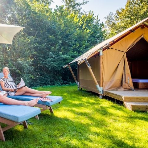 Safaritent 8 personen - Premium