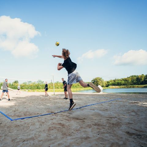 Papillon Country Resort - Camping Dinkelland - Afbeelding N°3