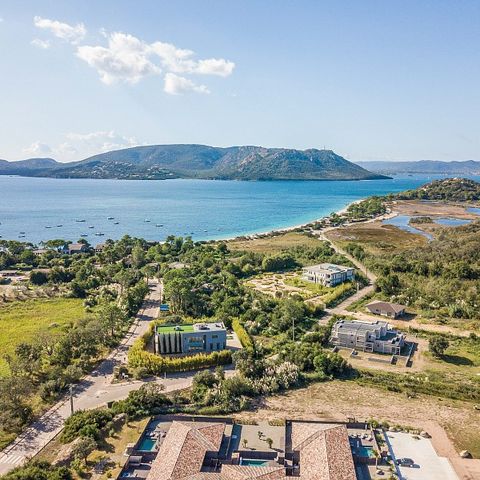 Pierre & Vacances Premium Résidence Vesna Rossa - Camping Zuid-corsica - Afbeelding N°3