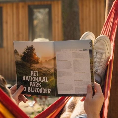 Tent 6 personen - tent Papendaal Lodge