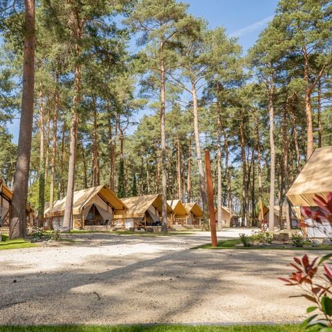Tent 4 personen - tent Papendaal Lodge
