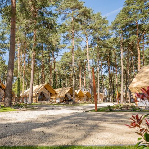 Tent 4 personen - tent Papendaal Lodge