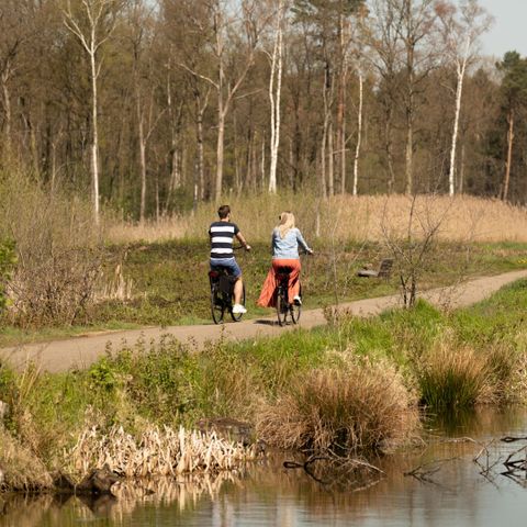 EuroParcs Hoge Kempen - Camping Belgisch Limburg - Afbeelding N°5