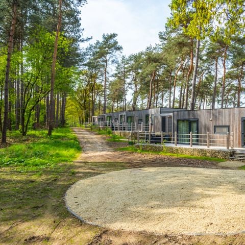 EuroParcs Hoge Kempen - Camping Belgisch Limburg - Afbeelding N°3