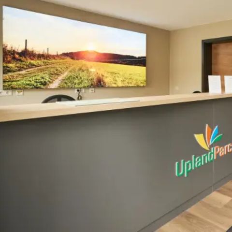 UplandParcs Winterberg - Camping Noordrijn-Westfalen - Afbeelding N°6