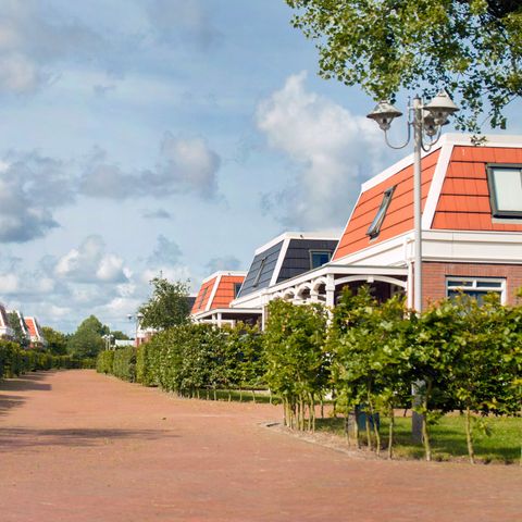 Bungalowparck Tulp & Zee - Camping Noordwijk - Afbeelding N°6