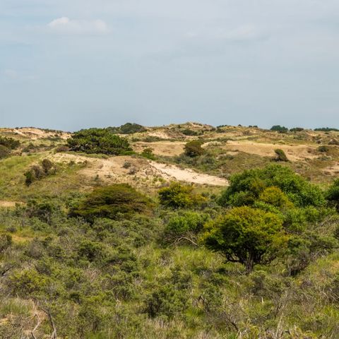 EuroParcs Noordwijkse Duinen - Camping Noordwijk - Afbeelding N°3