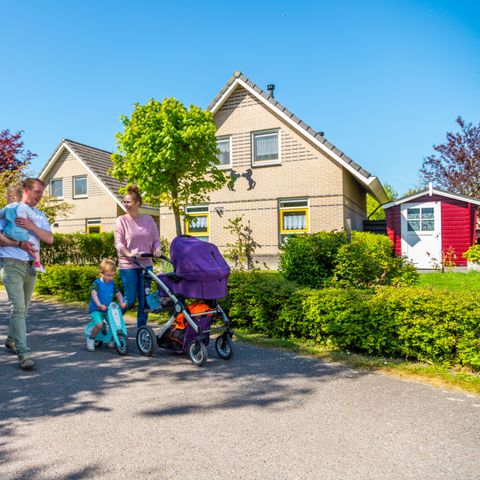 EuroParcs IJsselmeer - Camping Medemblik - Afbeelding N°3