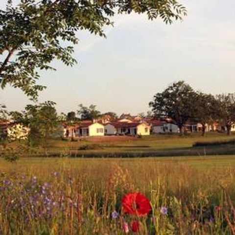 FranceComfort Bourg Est - Vilgilière - Camping Deux-Sèvres - Afbeelding N°4