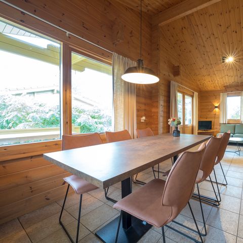 Finspark Herikerberg - Camping Hof van Twente - Afbeelding N°2