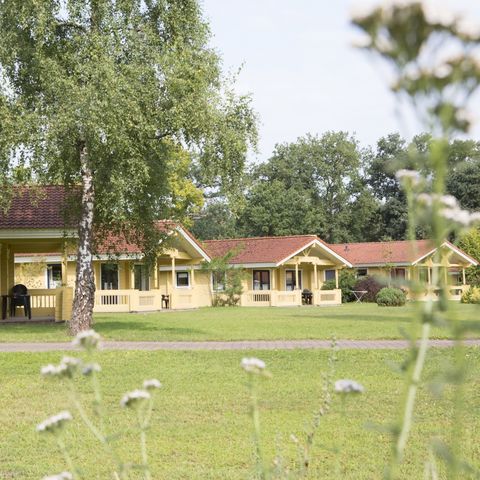 Finspark Herikerberg - Camping Hof van Twente - Afbeelding N°6
