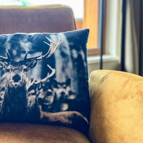 APPARTEMENT 3 personen - A3 Luxe vlak bij skigebied