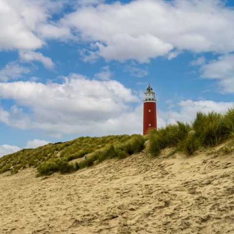 EuroParcs Texel - Camping Texel - Afbeelding N°3