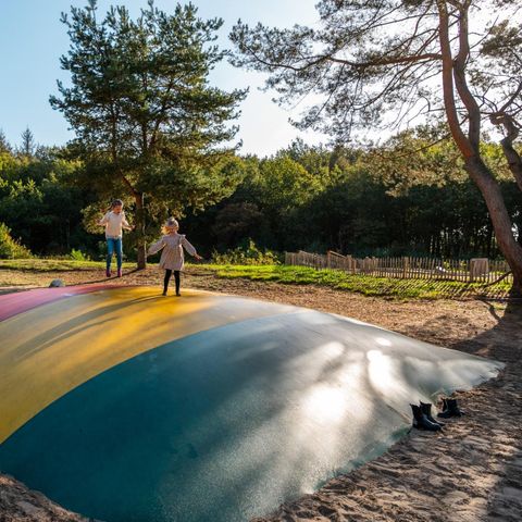 Groepsaccommodatie 10 personen - Glamping Family Lodge