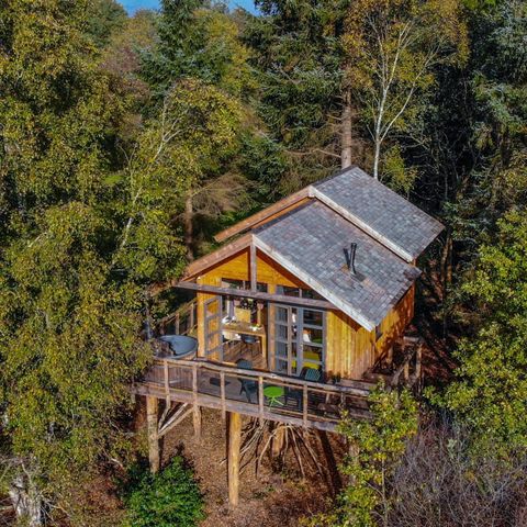 UNIEKE ACCOMMODATIE 6 personen - Boomhut XXL Hottub