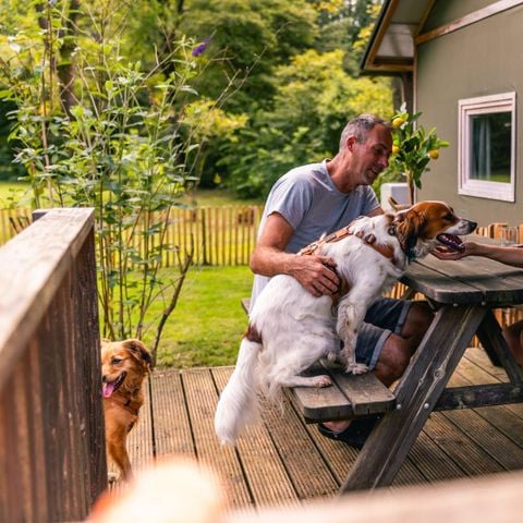Safaritent 6 personen - Glampingtent Dog Lodge