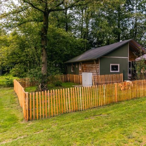 Safaritent 6 personen - Glampingtent Dog Lodge