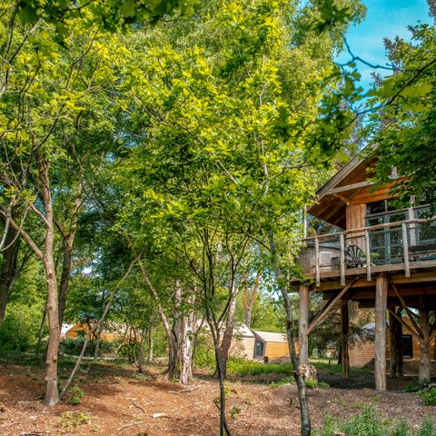 EuroParcs Ruinen - Camping De Wolden - Afbeelding N°3