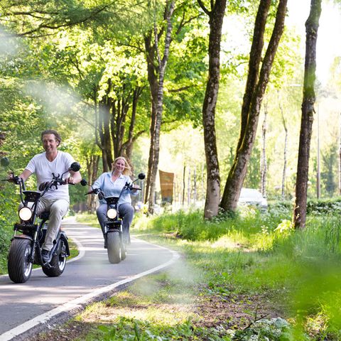TopParken Resort Veluwe - Camping Barneveld - Afbeelding N°6