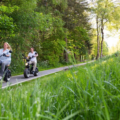 TopParken Resort Veluwe - Camping Barneveld - Afbeelding N°5