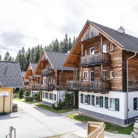 Landal Katschberg - Camping Karinthië - Afbeelding N°2