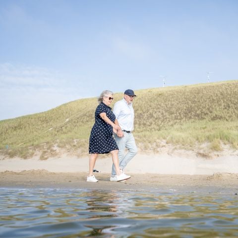 Landal Berger Duinen - Camping Bergen - Afbeelding N°4