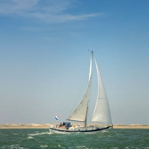 Landal Villapark Vogelmient - Camping Texel - Afbeelding N°5