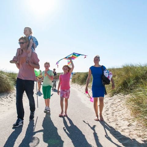 Landal Villapark Vogelmient - Camping Texel - Afbeelding N°2