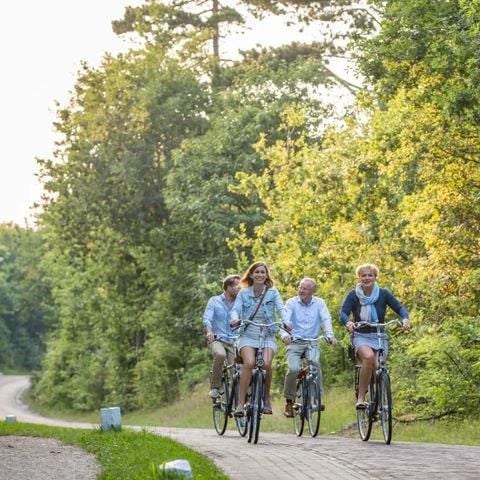 Landal Villapark Vogelmient - Camping Texel - Afbeelding N°6