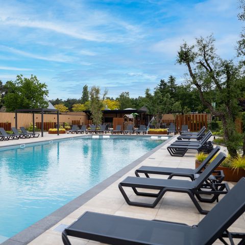 Vakantiepark Molenvelden - Camping Veldhoven - Afbeelding N°6