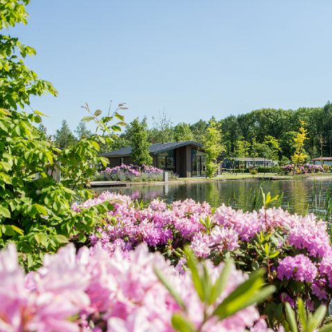 Vakantiepark Molenvelden - Camping Veldhoven - Afbeelding N°2